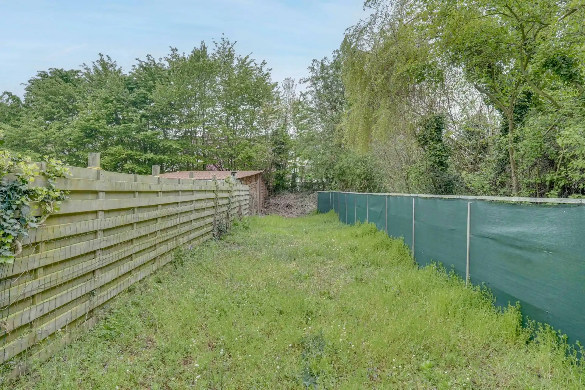 Woning met tuin en tal van mogelijkheden in Tongeren foto 15