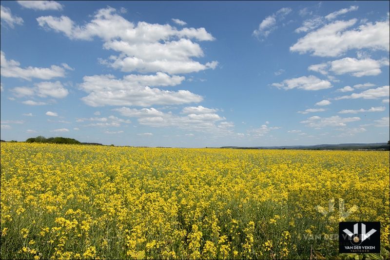 Bouwgrond voor half open bebouwing met prachtig zicht op 13a16ca in hartje Ardennen / Terrain à bâtir pour développement semi-ouvert avec superbe vue 13a16ca au coeur des Ardennes foto 5