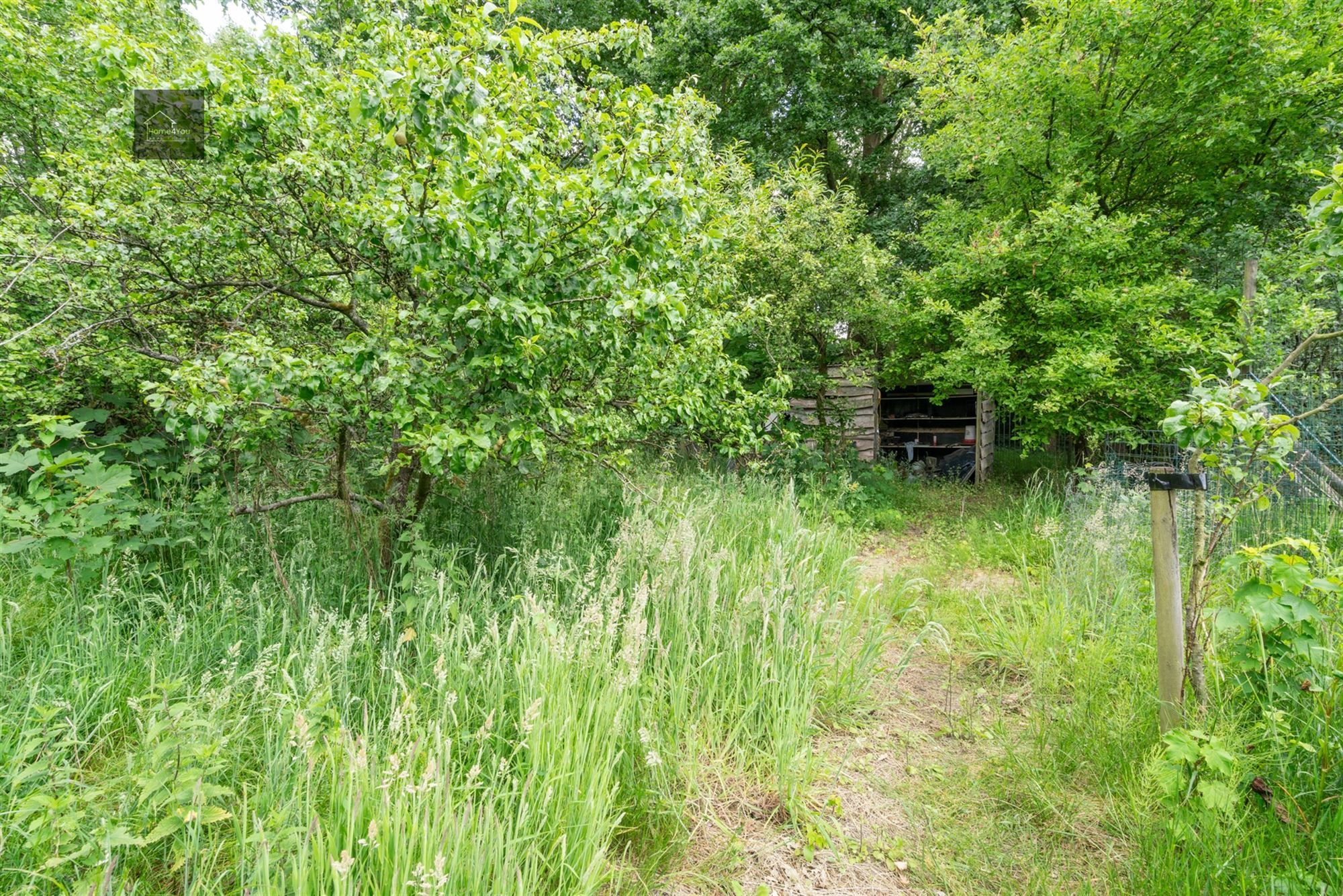 Wonen in het hart van de natuur – Alleenstaande villa op 8000 m² bosrijk domein in Stekene foto 41
