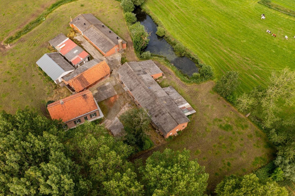 Centraal gelegen hoeve te koop te Kruibeke (Bazel) op circa 1 ha foto 10