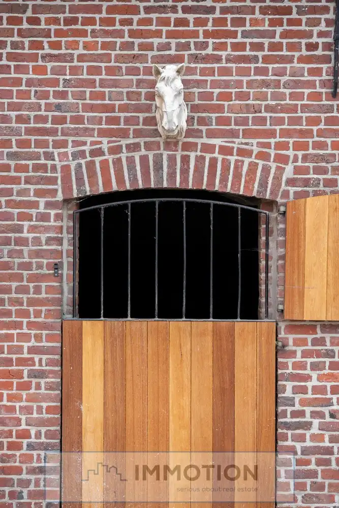 Niké's Hof - Paardenstoeterij met landelijke villa op 3,4 ha foto 24