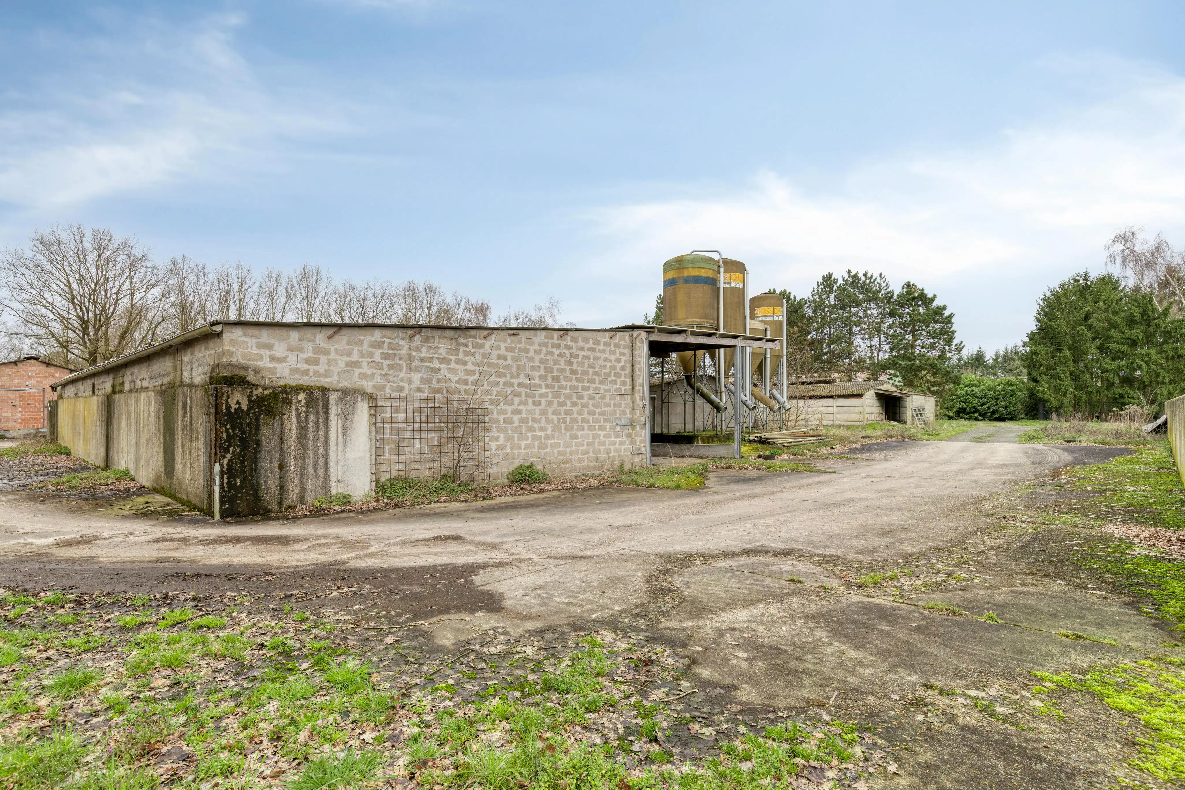 Te renoveren hoeve met stallen op 1 ha 11 are rustig gelegen in Haacht foto 6