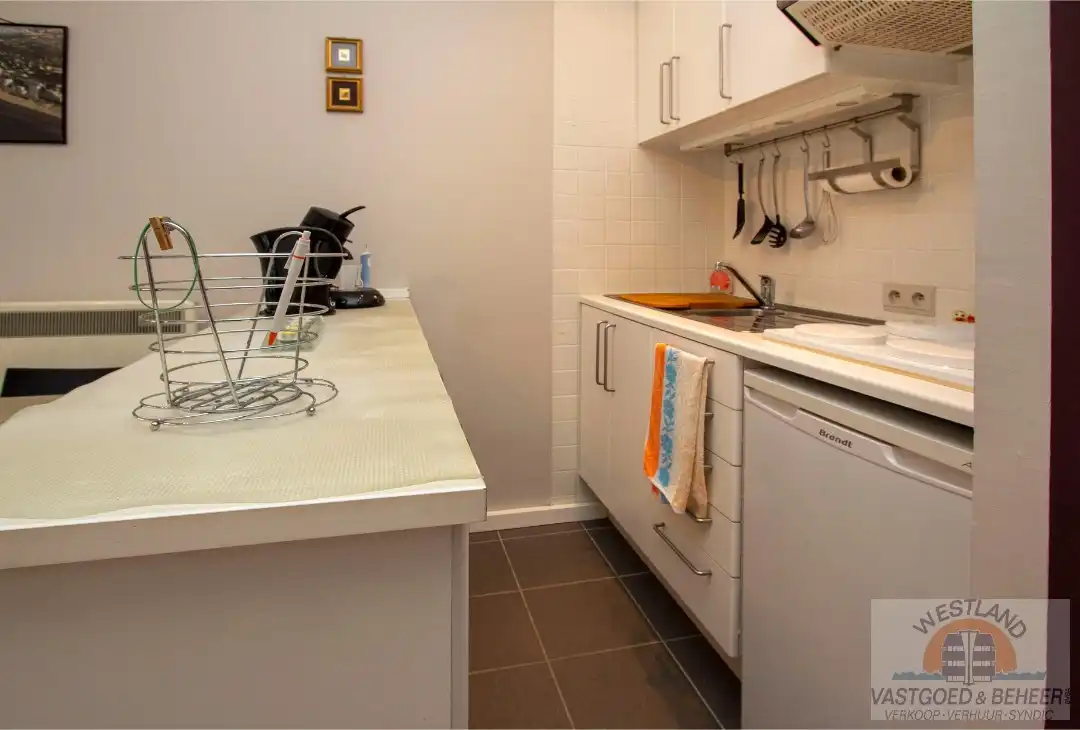 Instapklare, gerenoveerde studio in residentie Santhooft foto 5