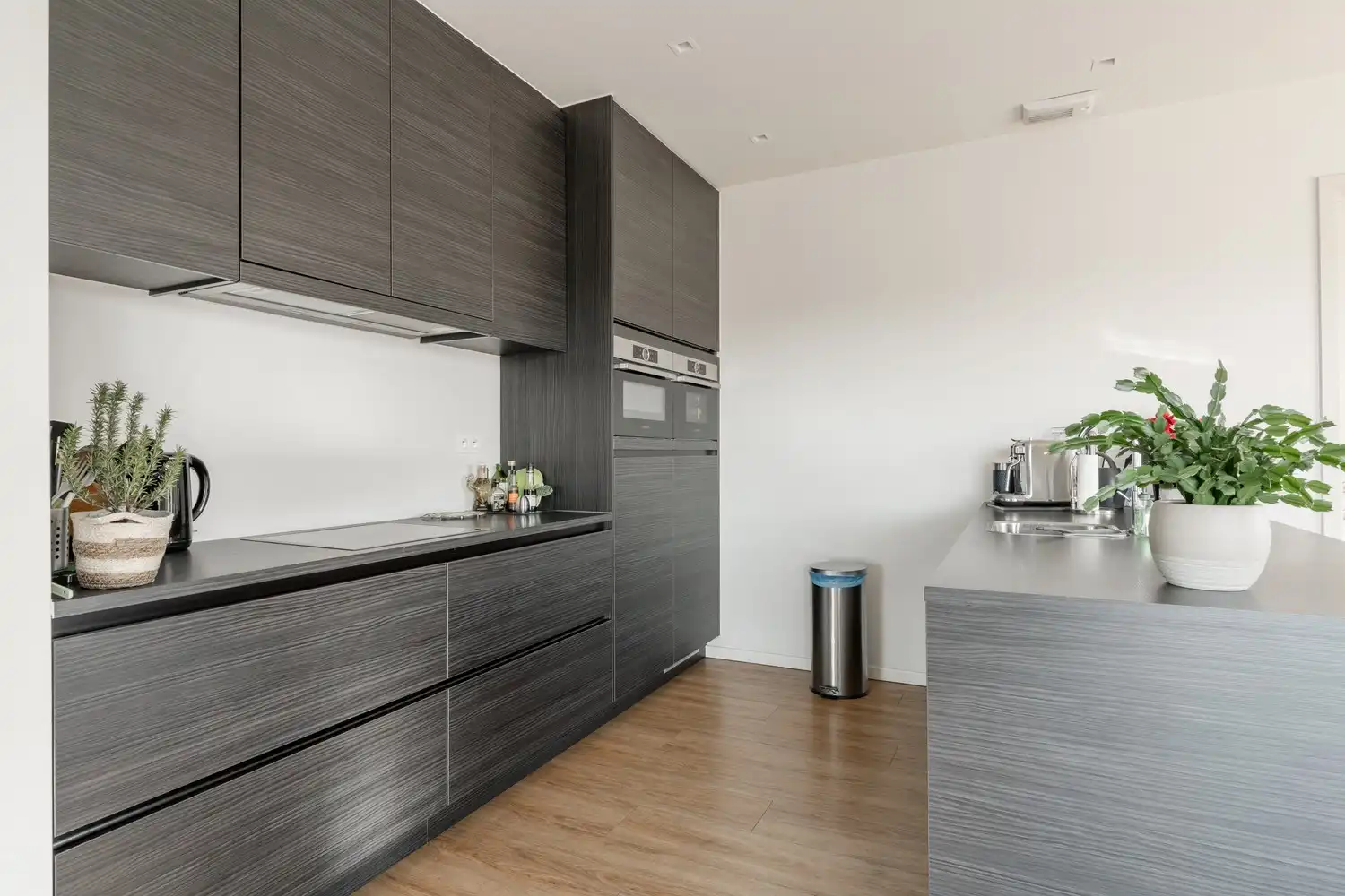 Prachtig penthouse met zeer groot terras en daktuin op het zuiden met 2 slaapkamers en 2 badkamers. foto 17