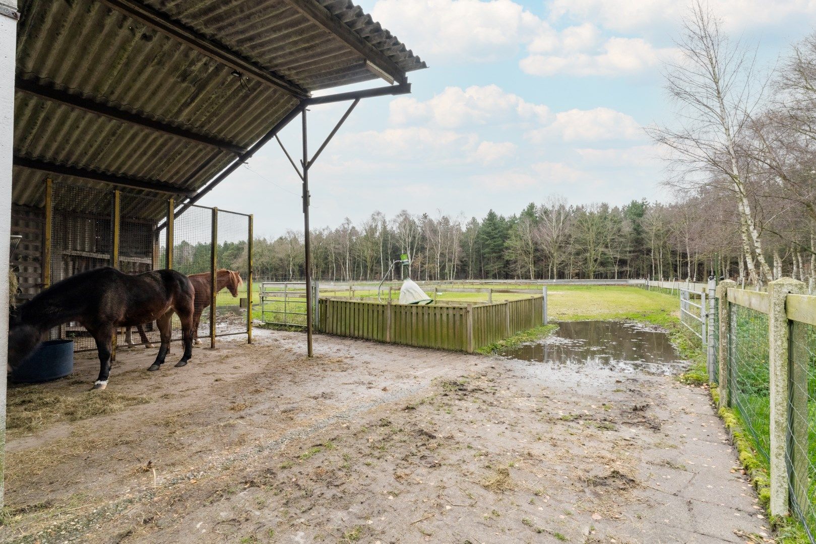 Ruime gezinswoning met 4 slaapkamers op 42,5 are te koop! foto 11