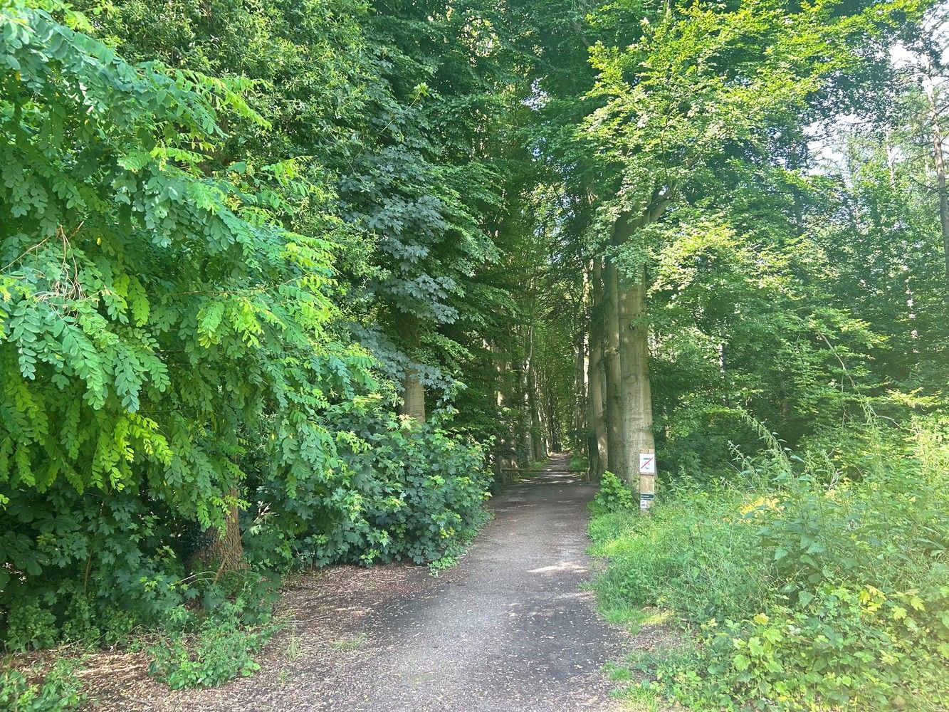 Uitzonderlijk gelegen villa in residentiële wijk foto 9