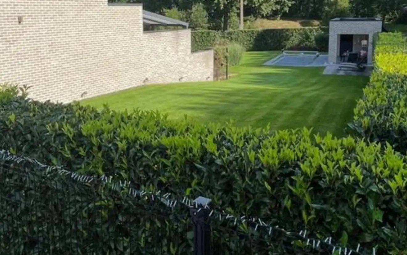 🌿 Bouwgrond met zwembad & poolhouse  in Zutendaal 🌿 foto 6