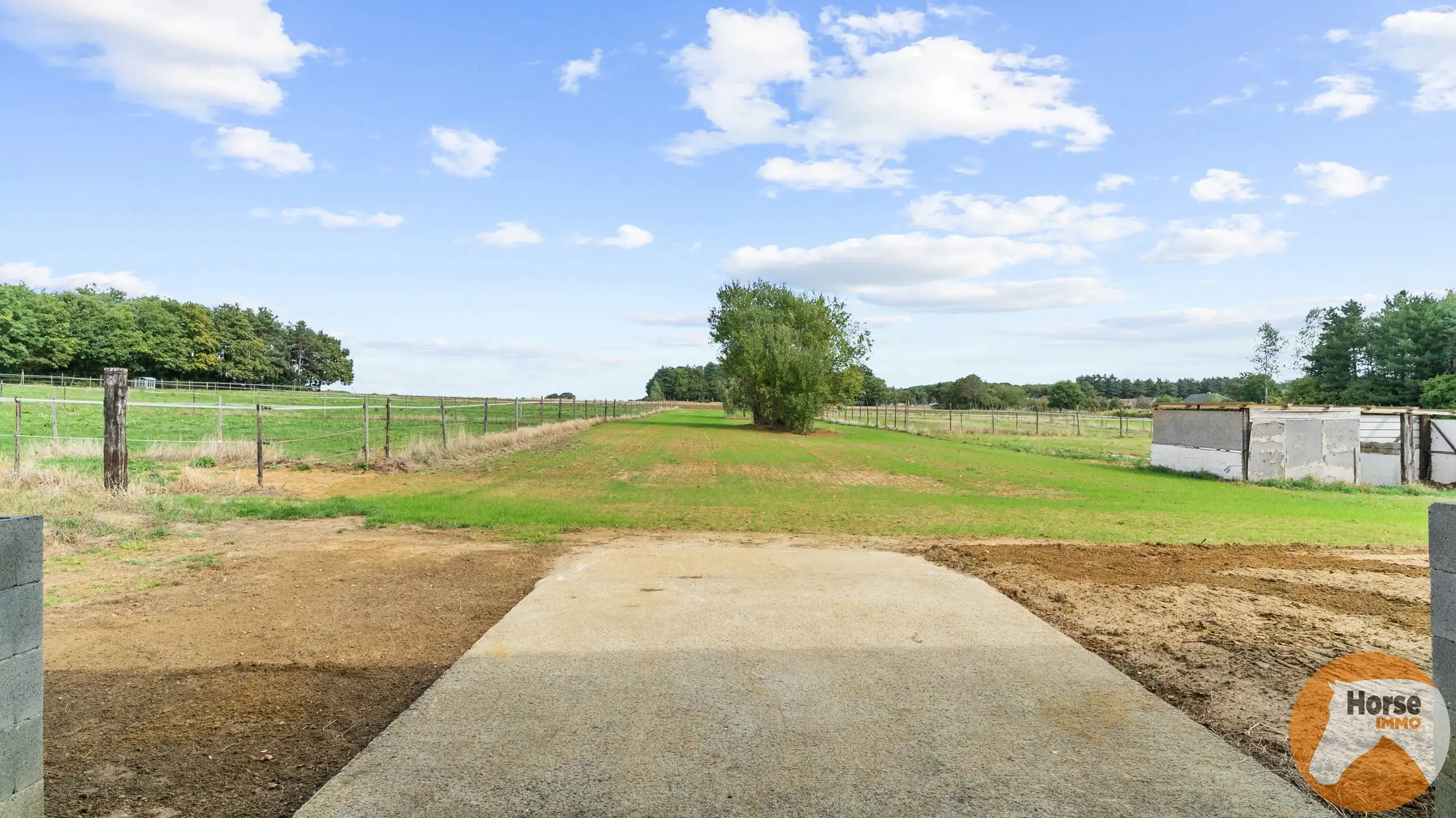 SCHAFFEN - Landbouwwoning op +/- 4,2 ha en paardenstalling foto 11