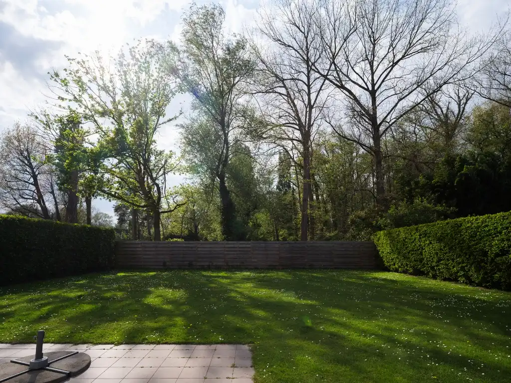 Vrijstaande woning (bew. opp 179m2) met 4 slaapkamers op perceel van 779m2 te Sint-Denijs-Westrem. foto 6