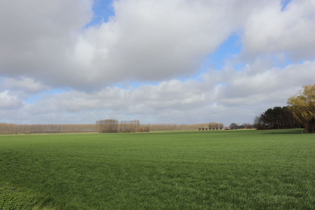 Hoeve geschikt voor hippische accomodatie te koop te Terneuzen foto 11