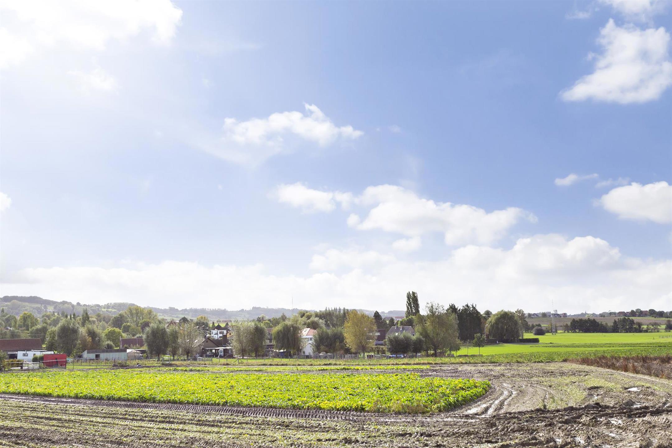 Recente, energiezuinige woning met tuin in groene omgeving! foto 16