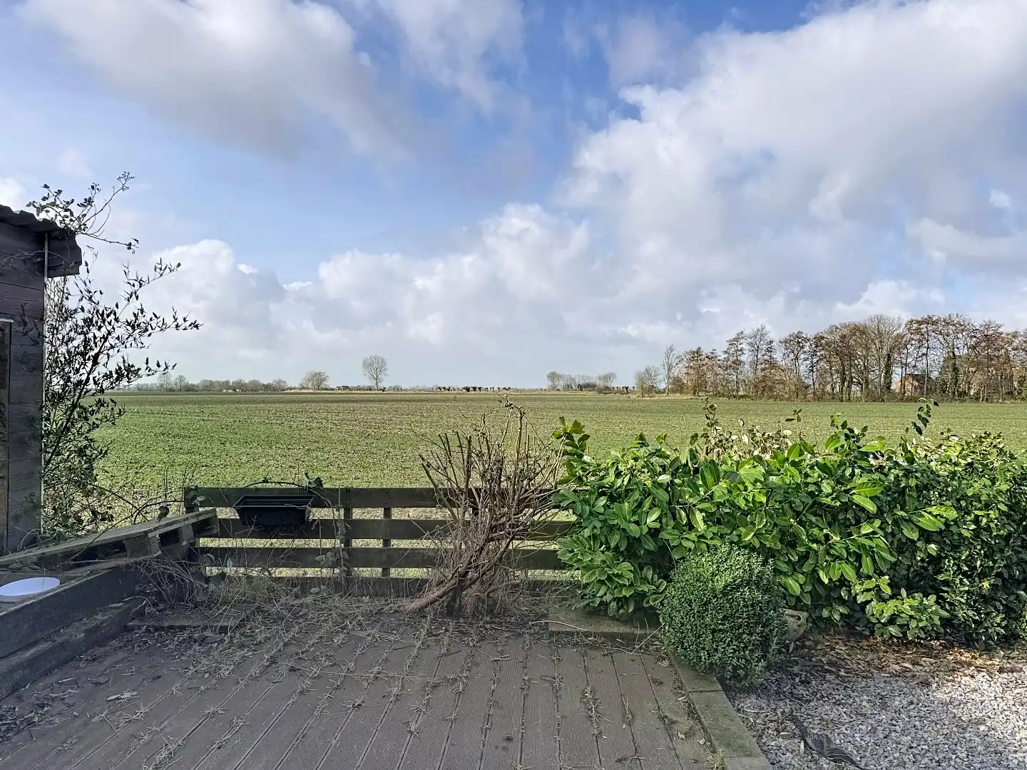 Charmante dijkwoning in het hart van de Zeeuwse polders (Slikkenburg) foto 36