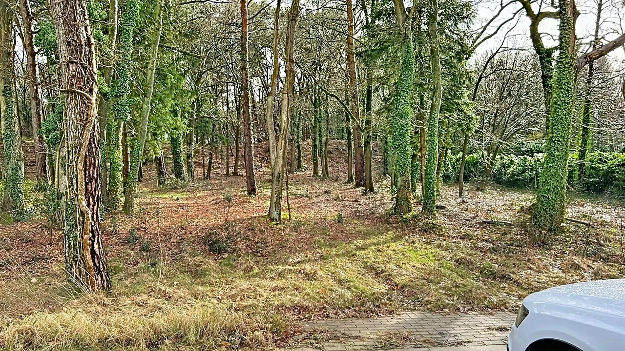 Bouwgrond van ca 1469 m² te koop in groene omgeving foto 5