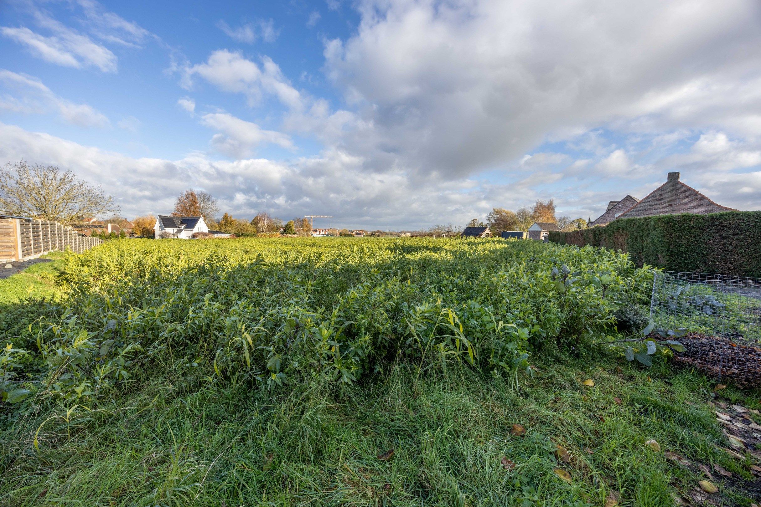 BOUWGROND MET VERZICHT foto 7