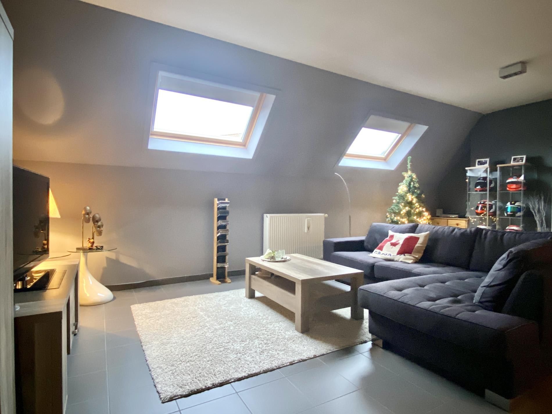 Ruime eigendom met garage en 2 slaapkamers foto 2