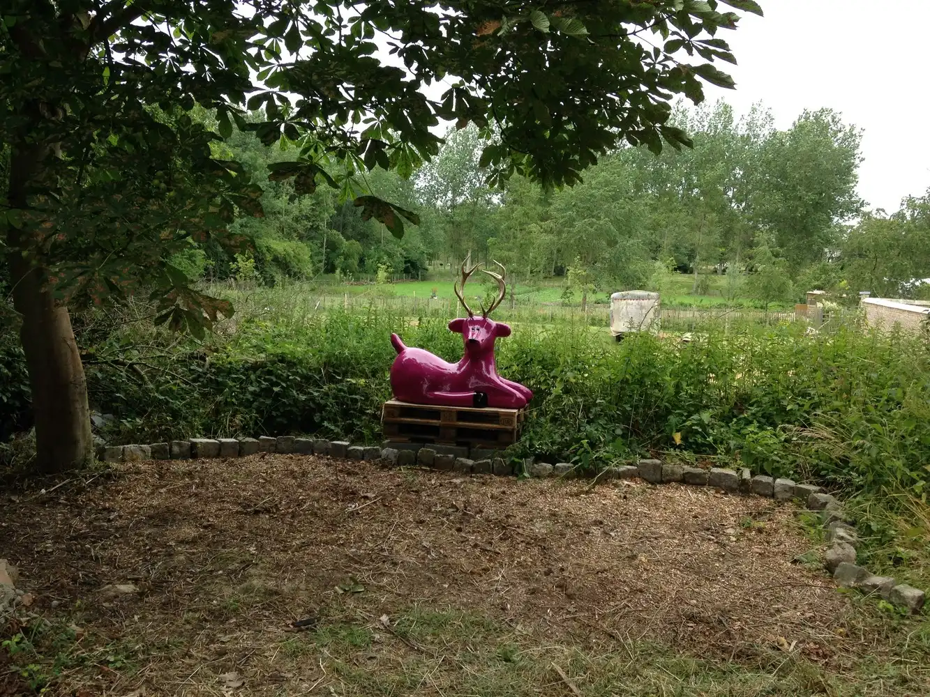 Unieke B&B in voormalige hoeve te Heks (Heers) – wonen, ondernemen en genieten in het groen foto 12