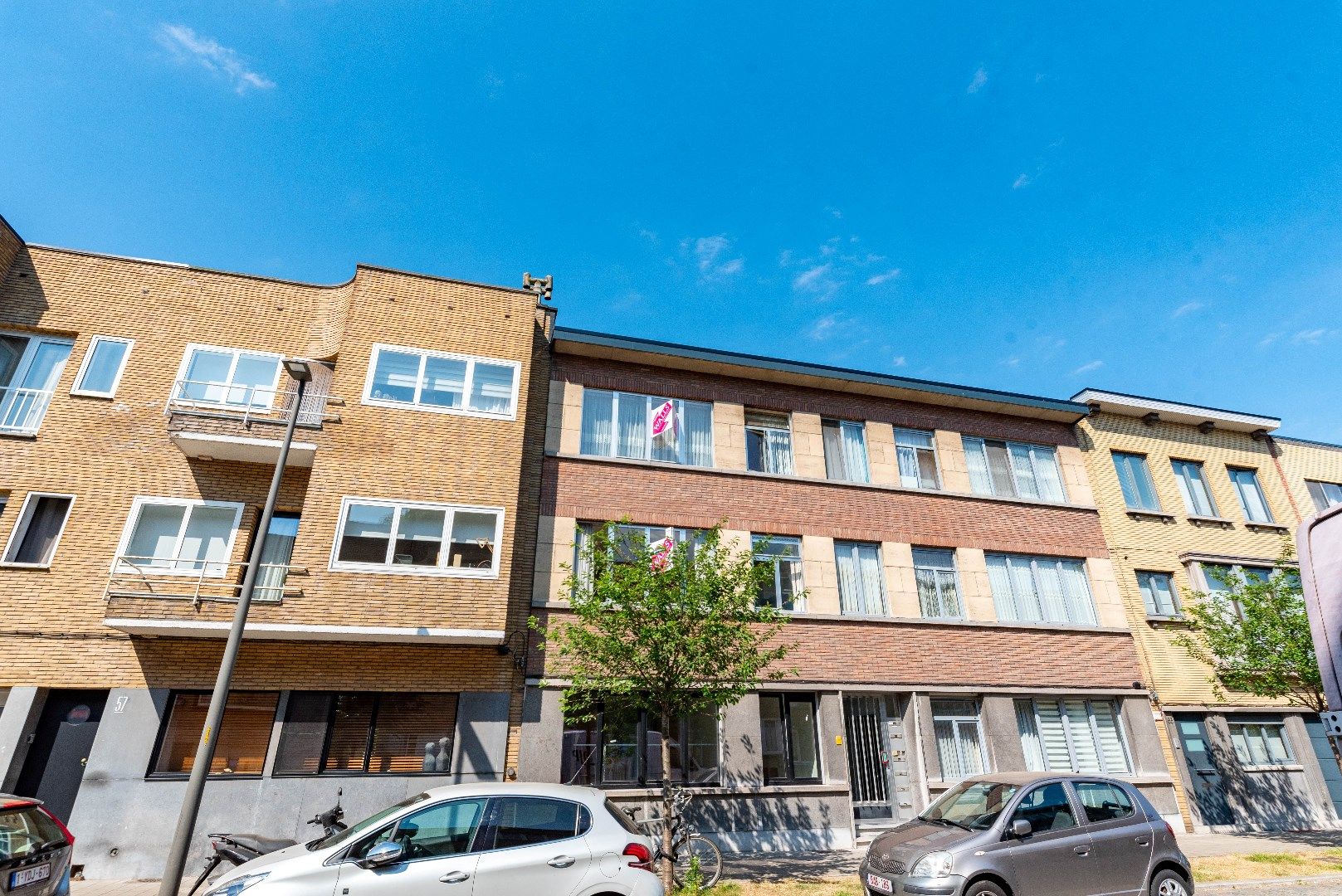 Appartement met uitzicht op 38 kleurrijke papegaaien! foto {{pictureIndex}}