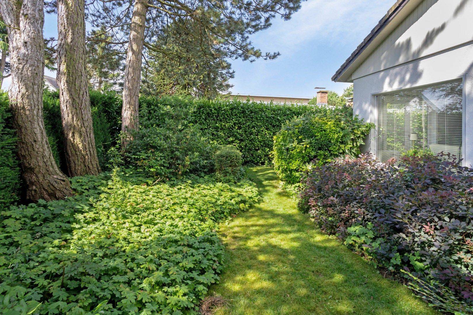 Moderne bungalow in het groen met twee slaapkamers foto 4