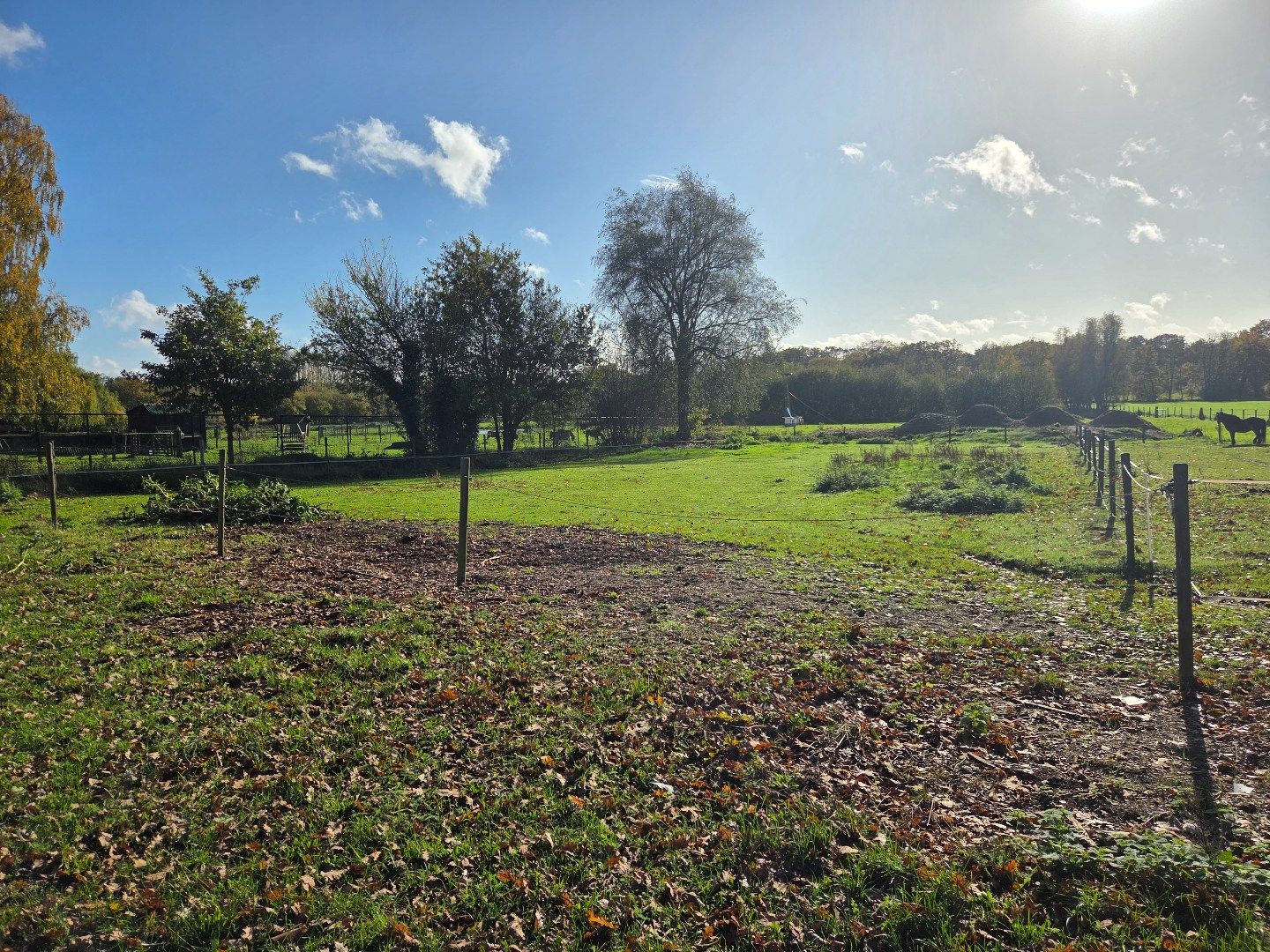 Woning met 3 slpks, schuur met 3 stallen en weiland op 2.288 m² nabij Geel-centrum ! foto 5