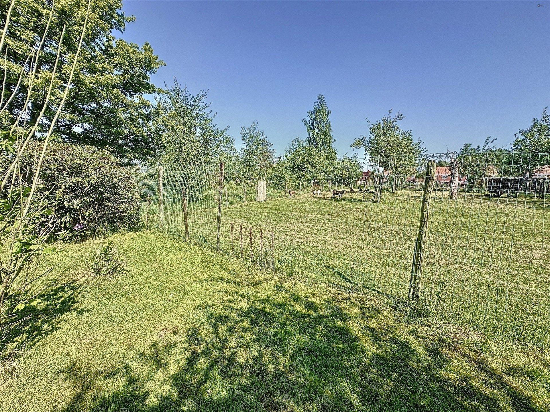 Woning met bijgebouw (88m²) op breed perceel van 1562m²  foto 23