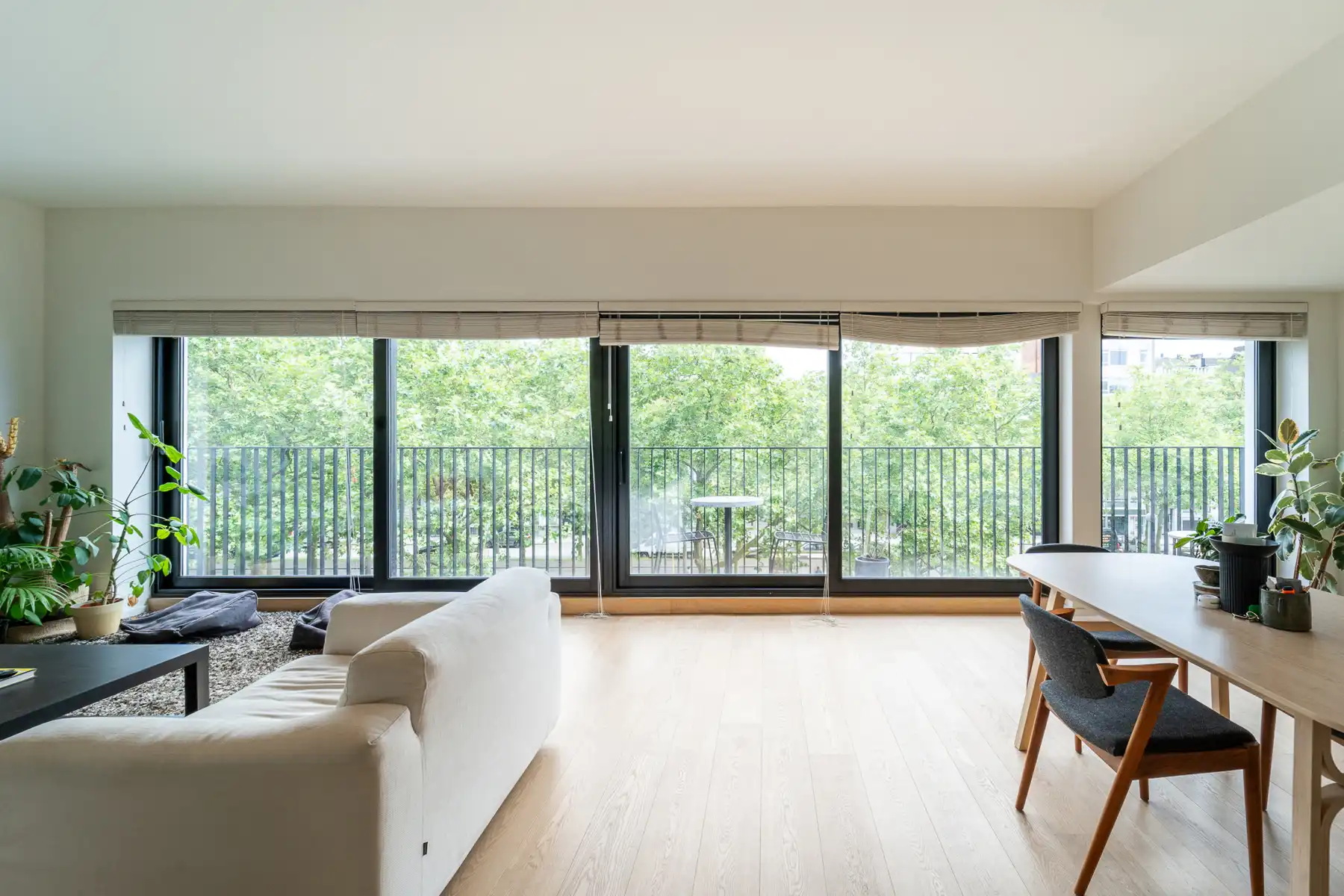 Ruim en lichtrijk 2-slpk appartement op het Zuid foto {{pictureIndex}}