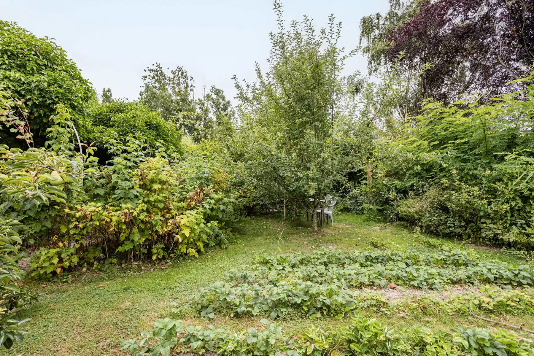Leuke half-open bebouwing met grote tuin! foto 18