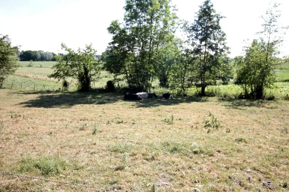 Mooi stuk weide langs Schipdonkkanaal foto 9