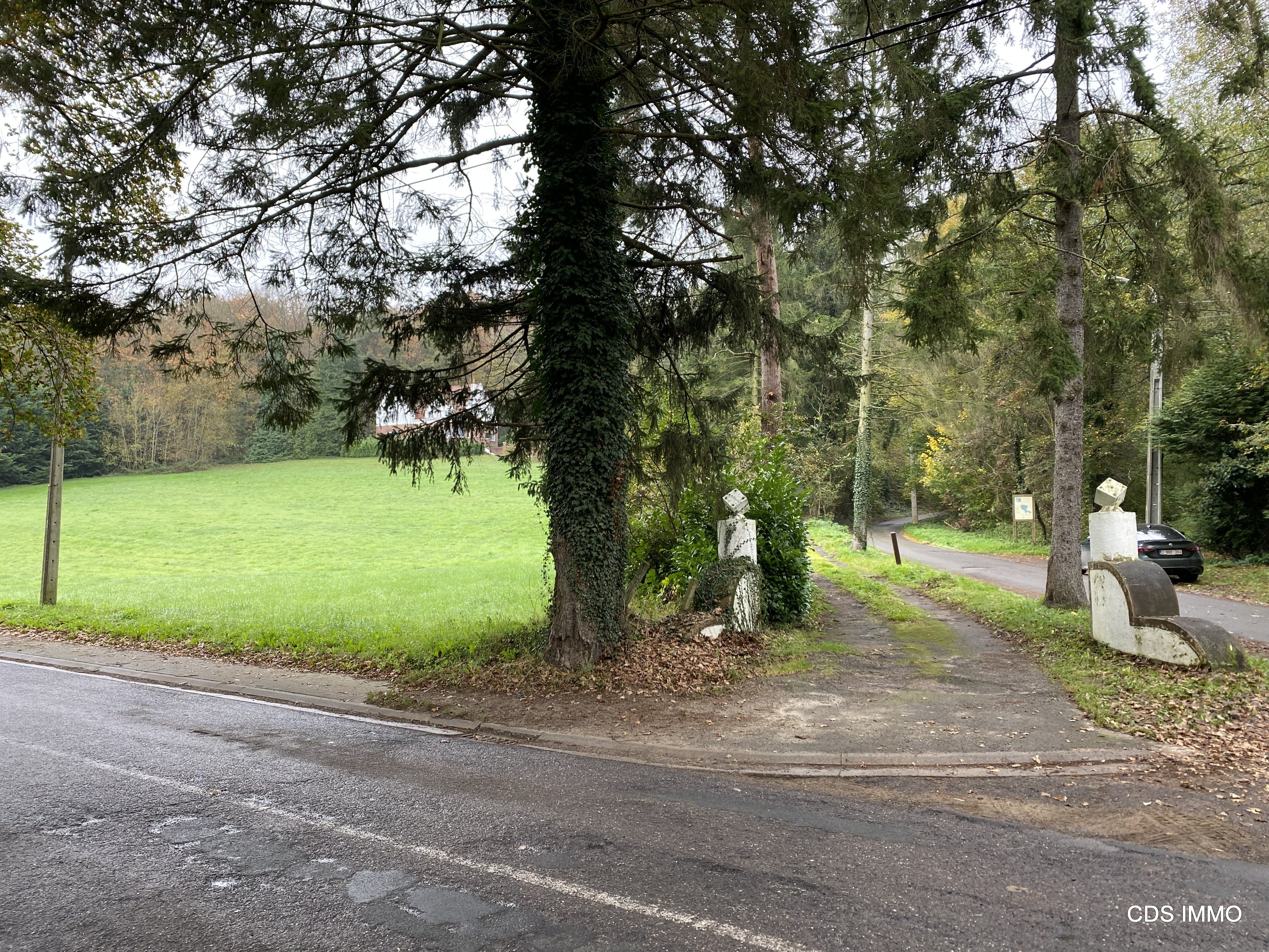 STATIGE VILLA IN IDYLLISCHE OMGEVING TE OVERIJSE-TERLANEN foto 5