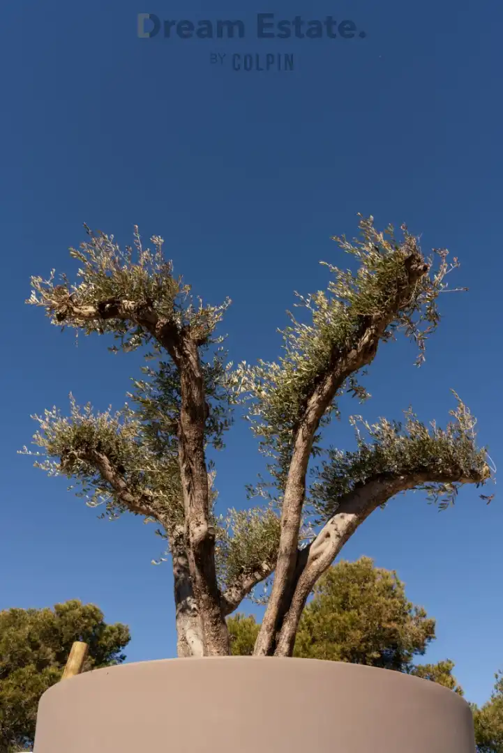 Eerste lijns villa foto 24