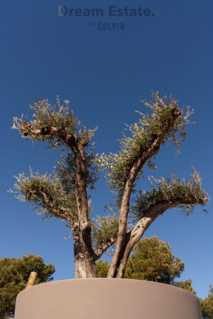 Eerste lijns villa foto 24