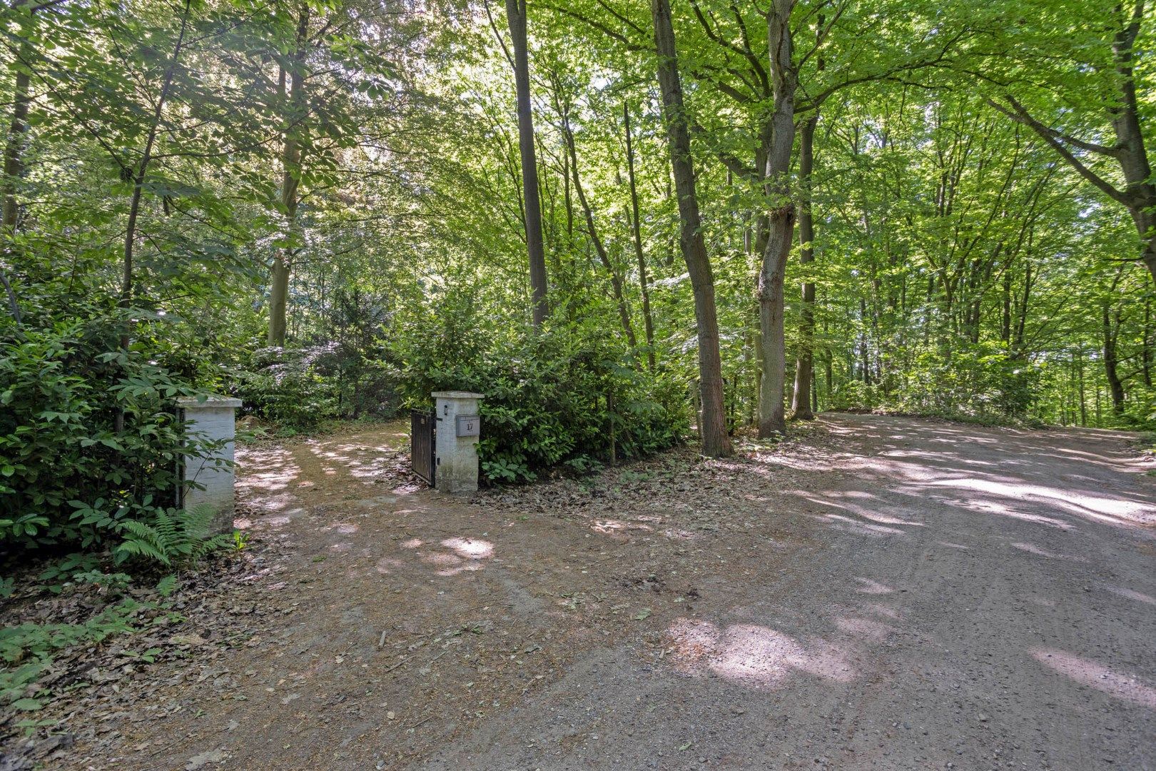 Prachtige vakantiewoning / 2de verblijf in het rustige Verbrandenbos te Kessel-Lo – perceel van 2004 m² – ideale ligging voor natuurliefhebbers foto 19