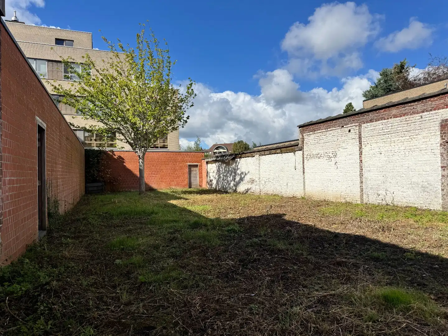 Leuke woning met 4 kamers, bijgebouw en uitweg foto 4
