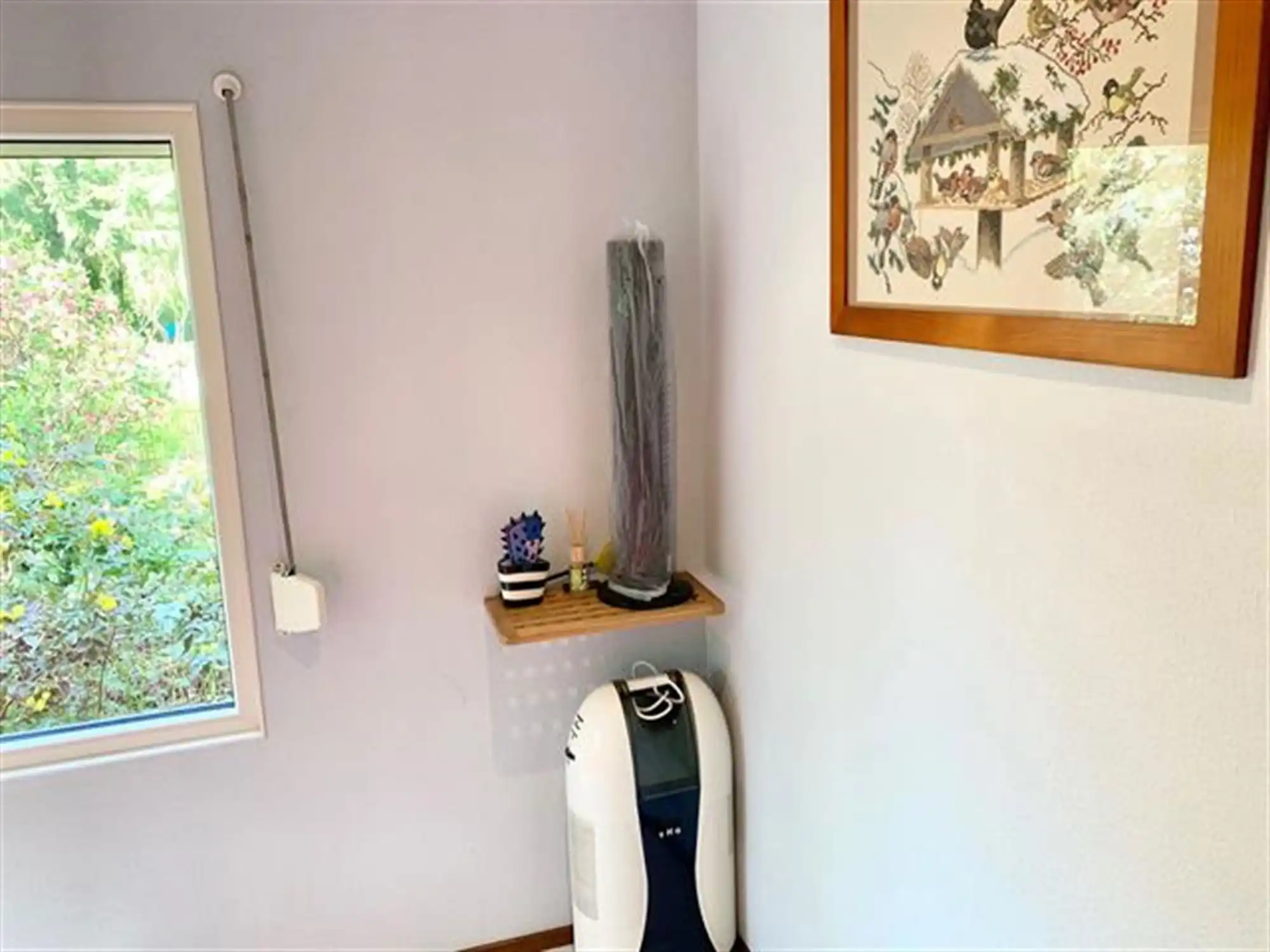 instapklare vakantiewoning in een uniek natuurgebied foto 10