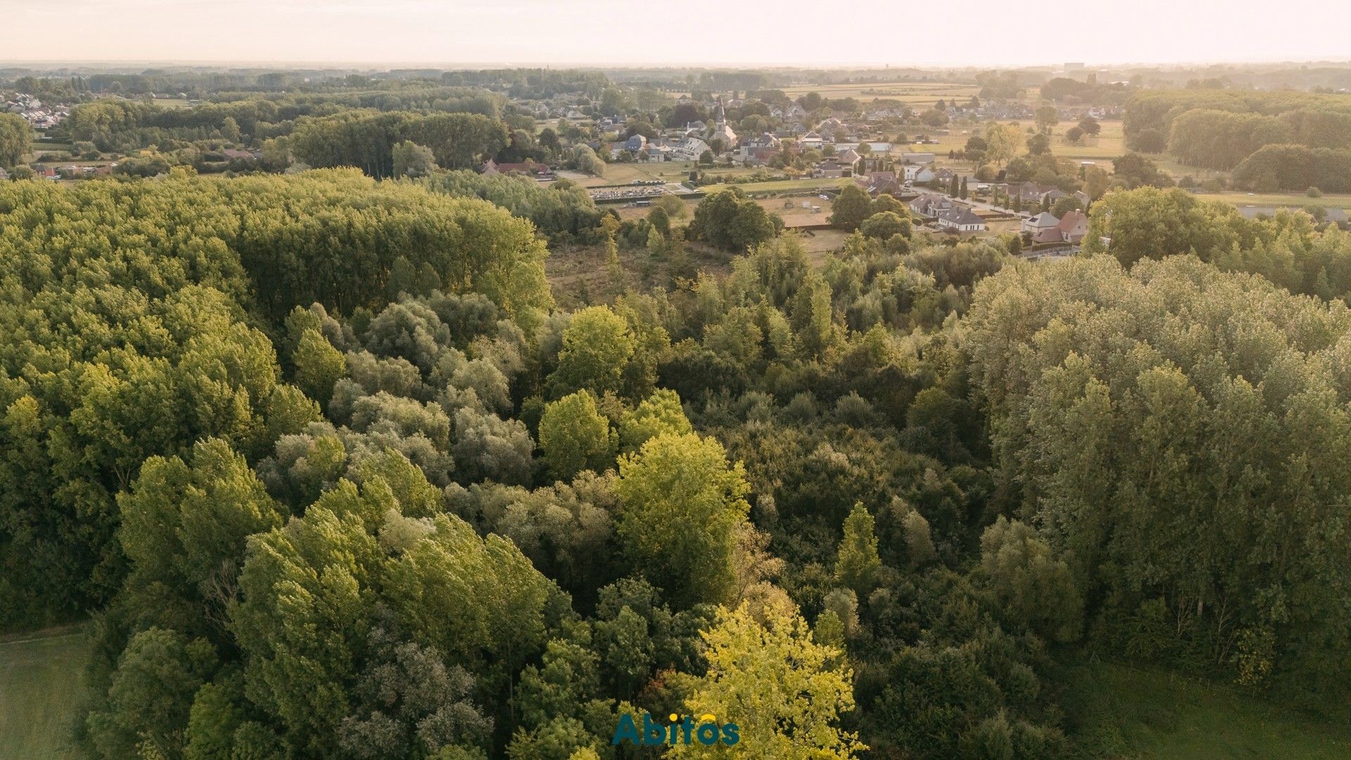 Bosgrond van 11.800 m² foto 15