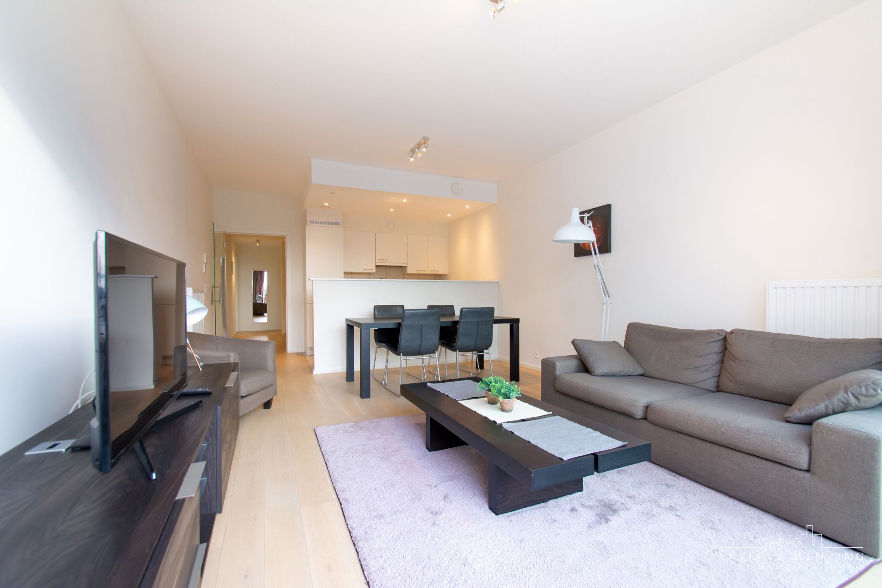 LICHTRIJK - Appartement 2 kamers (NAVO area) foto 3