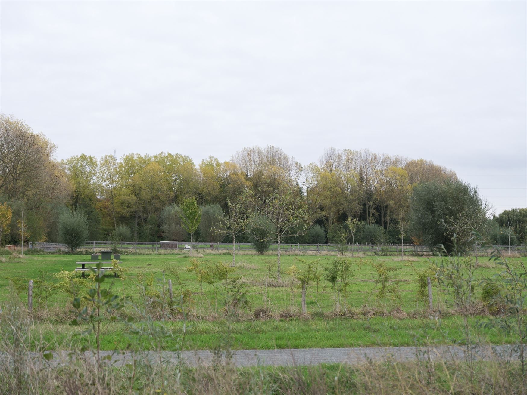 Elegante Franse villa op royaal perceel vlakbij Landgoed De Campagne. foto 23