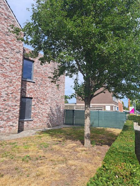 Recent, ruim woonhuis (±250m²), centrum Kasterlee met inpandige garage en stapl. foto 6