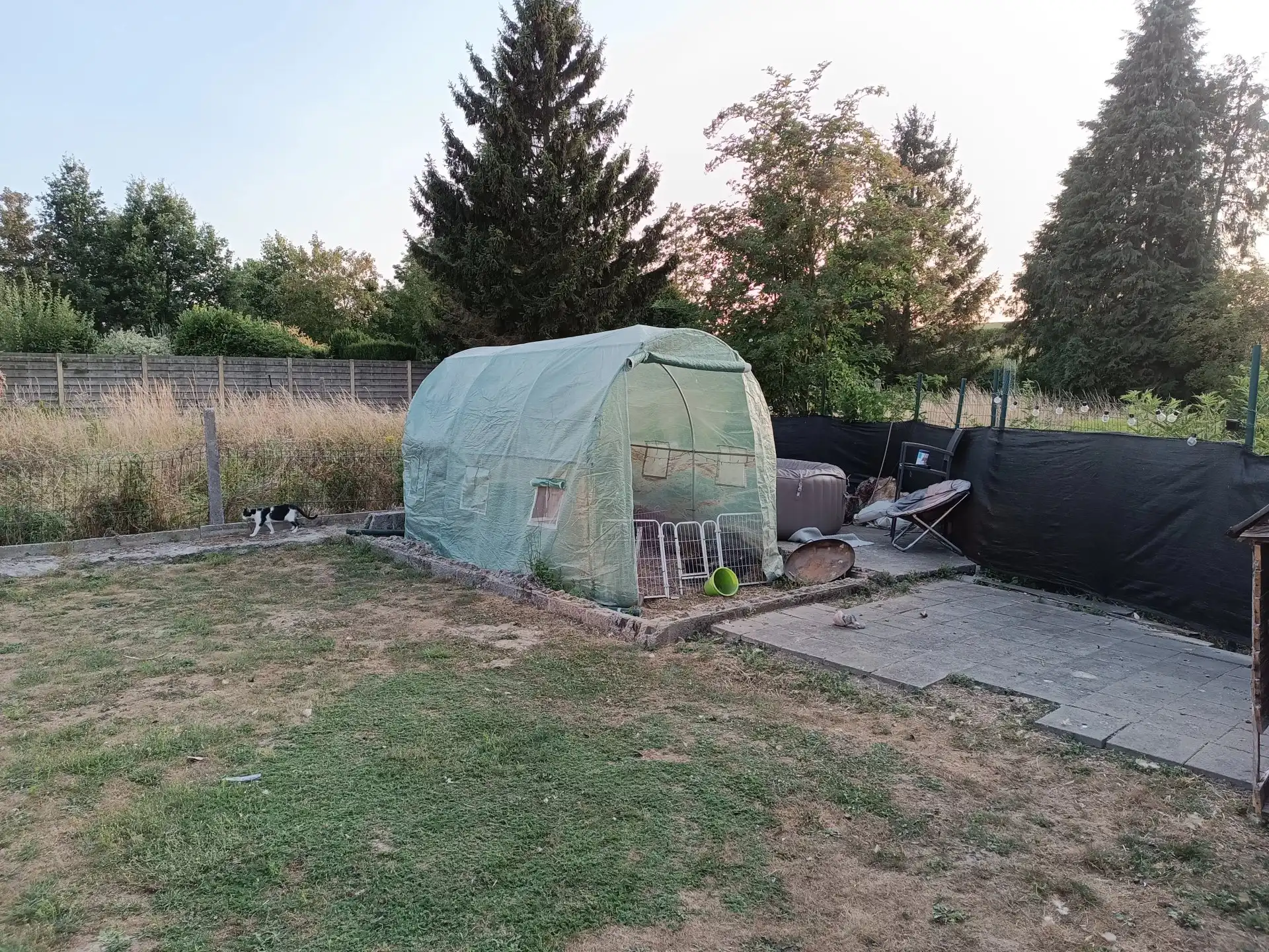 Huis met 2 slaapkamers en tuin foto 12