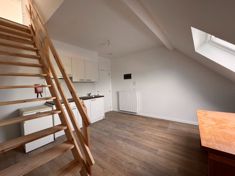 --- NIEUW --- STUDENTS ONLY!!! Gerenoveerde STUDENTEN-kamers & -studio's (GEEN DOMICILIE MOGELIJK!) foto {{pictureIndex}}