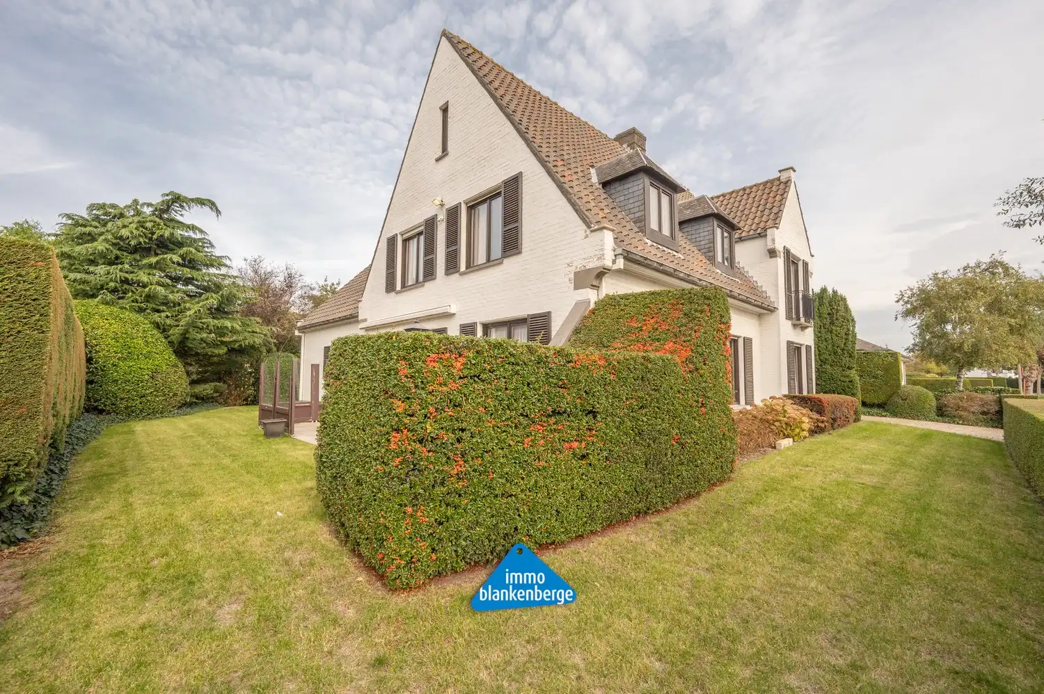 Exclusieve villa in een gegeerde residentiële wijk foto 27