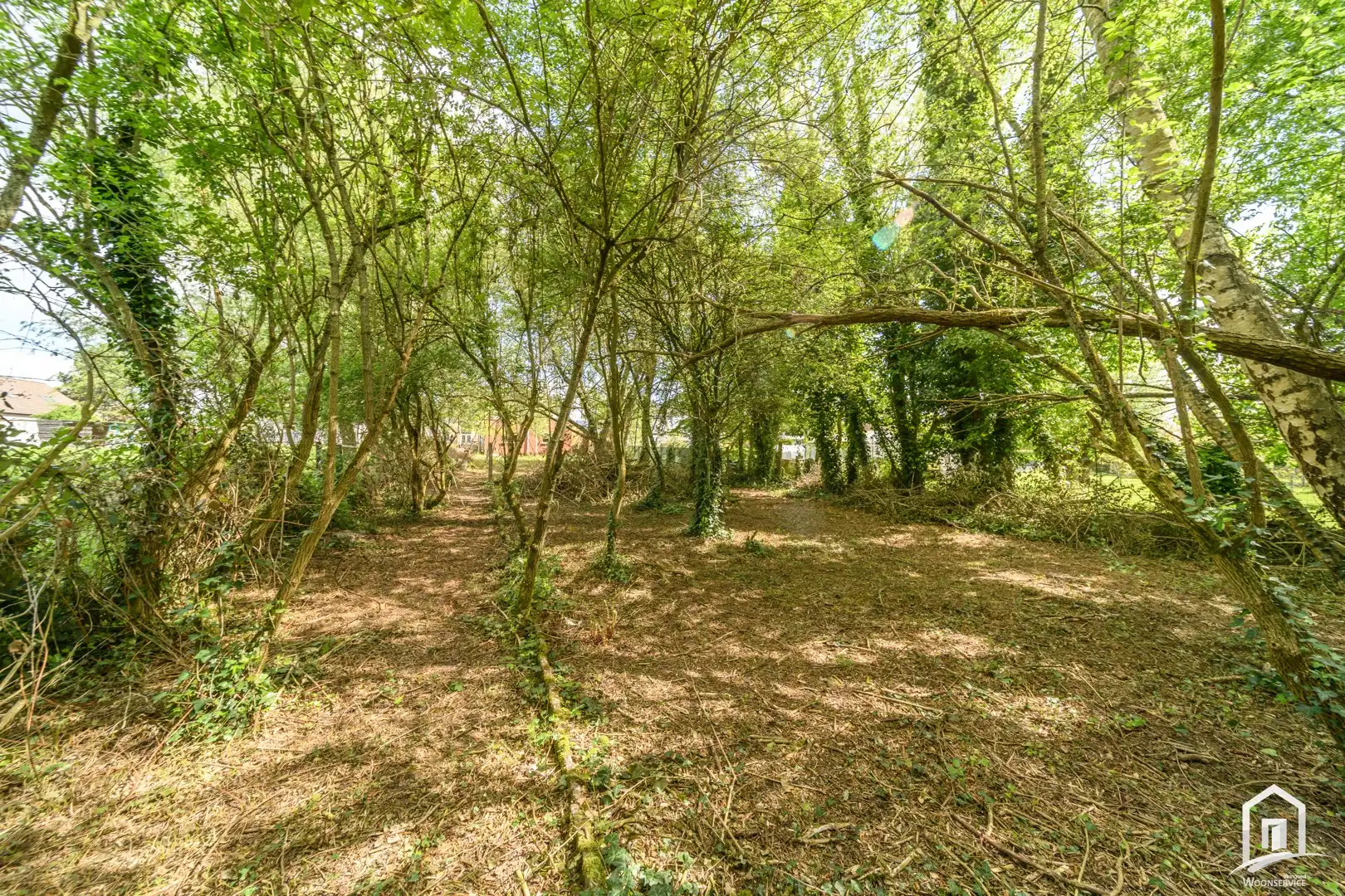 Te renoveren gezinswoning met 2 slaapkamers en ruime tuin foto 18