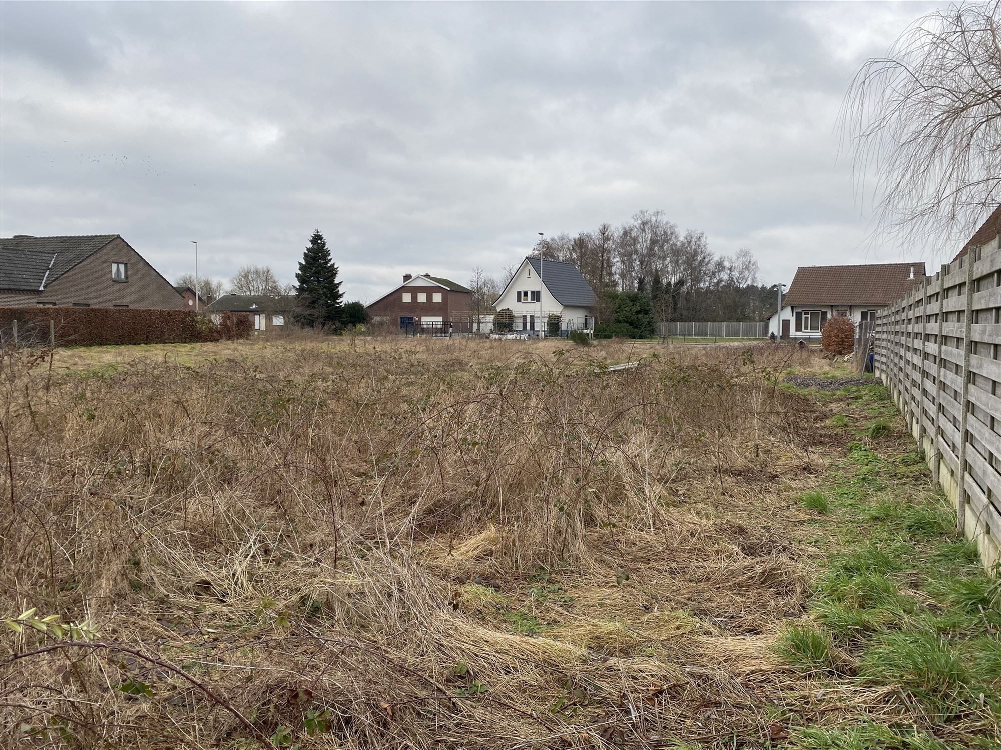 ZUIDGERICHT PERCEEL MET MOOIE STRAATBREEDTE EN VEEL MOGELIJKHEDEN TE PELT foto 5