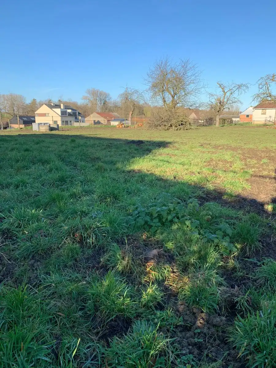 Ruim perceel met open bebouwing in Widooie (Tongeren) ideaal voor natuurliefhebbers - 630m² grond, tuin op het noordwesten foto 3