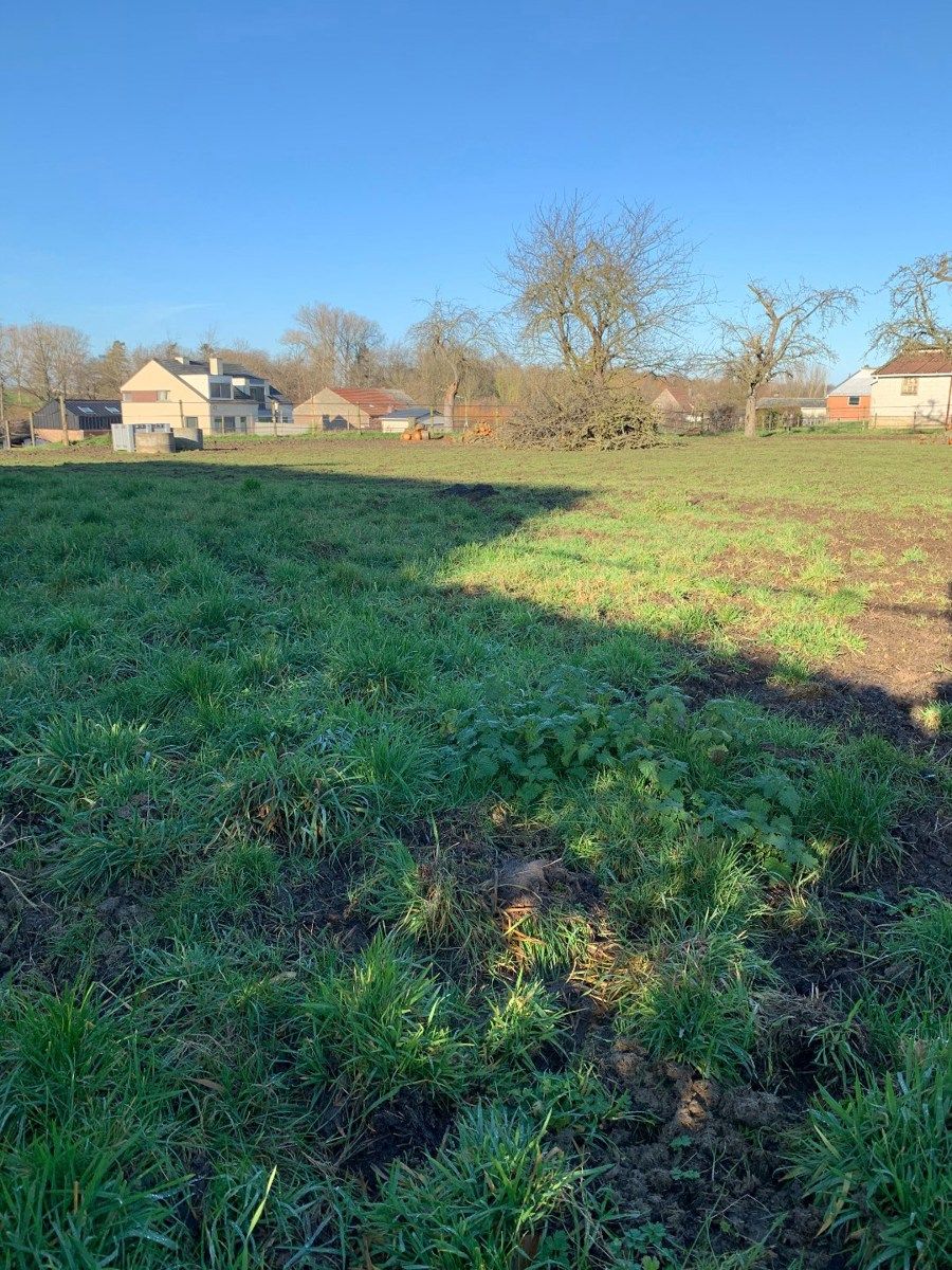 Ruim perceel met open bebouwing in Widooie (Tongeren) ideaal voor natuurliefhebbers - 630m² grond, tuin op het noordwesten foto 3