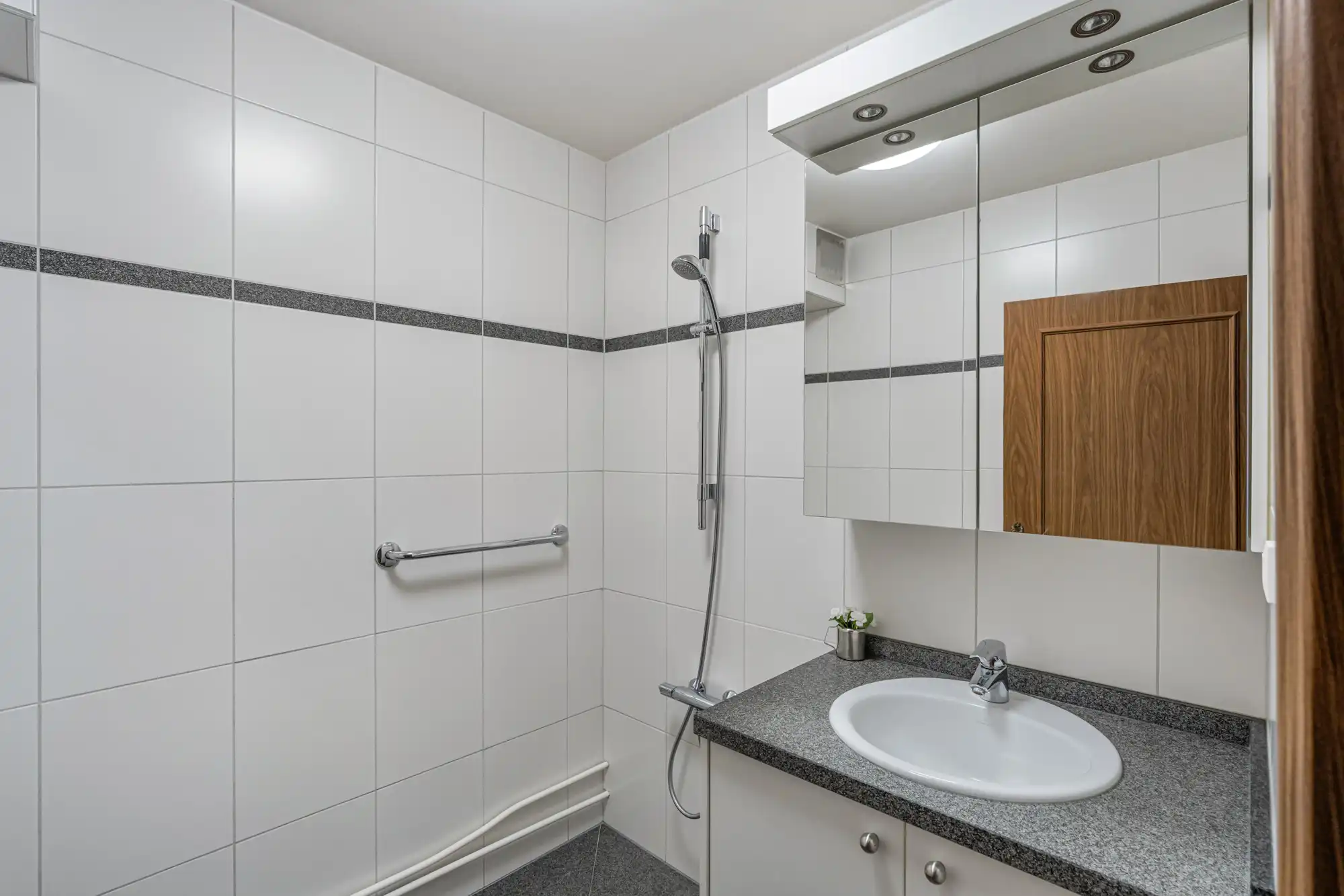 Huis te koop foto 16