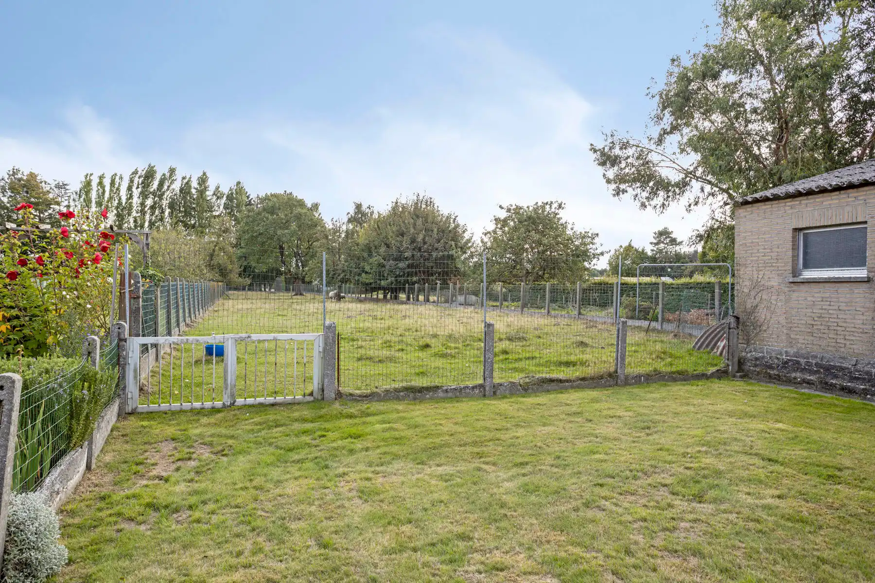 Huis te koop foto 25