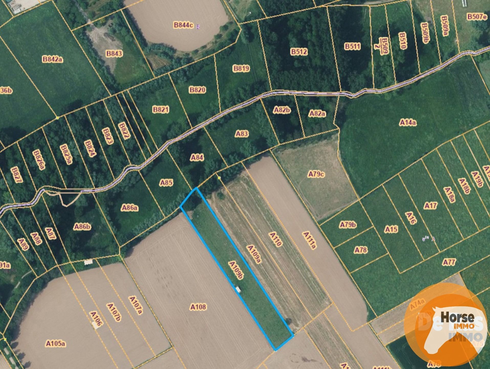 DENDERHOUTEM– Perceel weiland van 29a 50ca foto 2