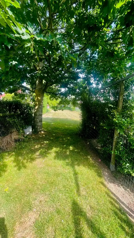 Bouwgrond van 1.264 m² te koop in groene omgeving – Ruddervoorde foto 8