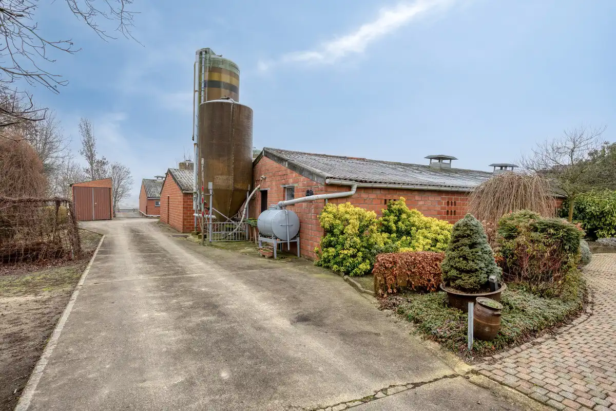 VIERKANTSHOEVE MET 4 BIJHORENDE VARKENSSTALLEN TE SINT-HUIBRECHTS-HERN op 65A79CA. foto 33
