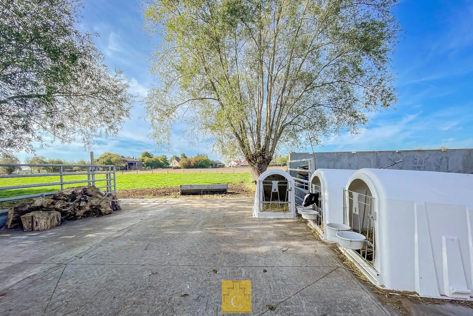 Boerderij met nieuwbouwloods (+400M2) en woning op 11.776 m² foto 12